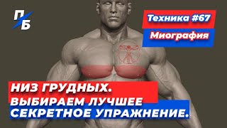 Низ грудных. Выбираем лучшее СЕКРЕТНОЕ упражнение. Техника 67