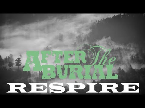 Matthew Kiichichaos Heafy I Trivium I After the Burial - Respire I Acoustic Cover