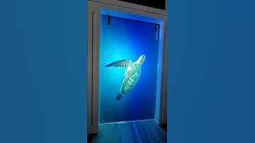 Definition Rear Projection Film can be applied to acrylic or glass for stunning high contrast images