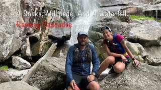 A Snake, Millipede, And A Waterfall... Ramsey Cascades Trail Run In The Great Smoky Mountains