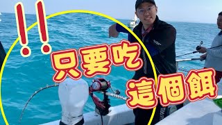 小兵立大功！海上一堆船都不吃只愛「這個餌」-穩勝166海釣船 by BD名哥 29,937 views 3 months ago 17 minutes