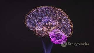 Decoding Dreams: A Journey into the Subconscious