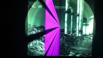 Fallout new Vegas messed up screen glitch