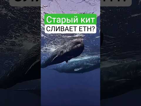 КИТ Ethereum проснулся спустя 11 лет — что будет с ETH