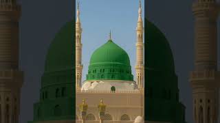 @Islamicworldyt-x7e #kya main Muhammad ka pyara.......#islamicvideo #shortvideo #love