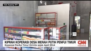 Download Lagu Kiprah Koperasi Desa Merah Putih Penfui Timur MP3