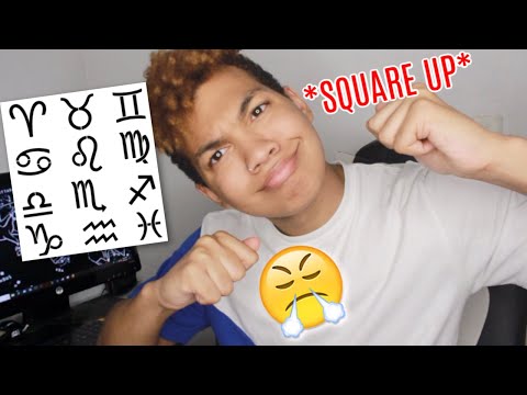 Zodiac Signs in a FIGHT!