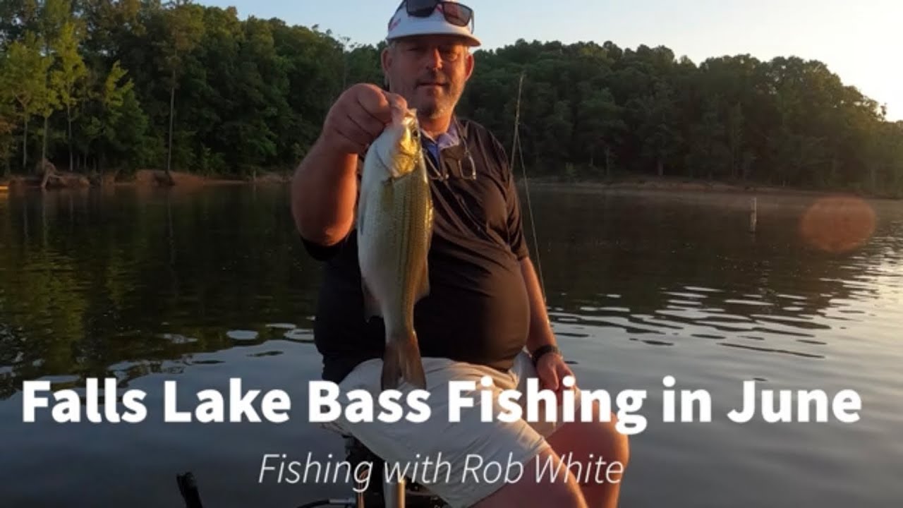Falls Lake Bass Fishing in June