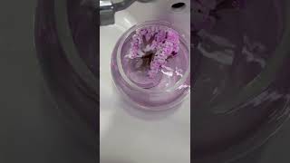 Magic grow tree in Baking soda solution (Sodium bicarbonate/NaHCO3)