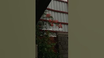 تلاوة من القرآن الكريم بصوت الشيخ محمد ايوب  - رحمه الله | سورة القصص من آية ٦٩ إلى آية ٧٠ |