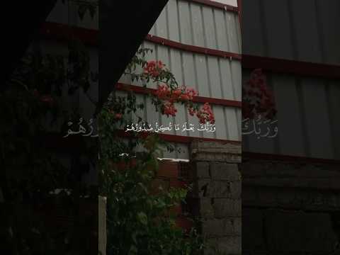 تلاوة من القرآن الكريم بصوت الشيخ محمد ايوب رحمه الله سورة القصص من آية ٦٩ إلى آية ٧٠ 