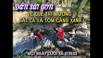TÁT MƯƠNG BẮT CÁ VÀ TÔM CÀNG XANH THẬT VUI
