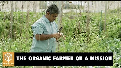 Start Your Organic Farm: A Beginner’s Guide to Sustainable Farming