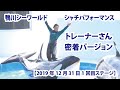 【2019年12月31日1回目】鴨川シーワールド　シャチパフォーマンス　辰野レーナーさん密着バージョン