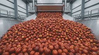 Satisfying Apple Juice Factory ASMR  The Ultimate 3D Industrial Production Line