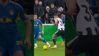 Bruno Guimaraes Trivela