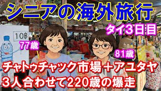 合計220歳でアユタヤ爆走81歳と77歳を連れてチャトゥチャックから遺跡巡りまで詰め込みすぎた1日の末路