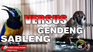 MURID VS GURU MASTERAN BURUNG MURAI DAN CUCAK IJO DARI CUNGKOK SABLENG VS GEREJA GENDENG