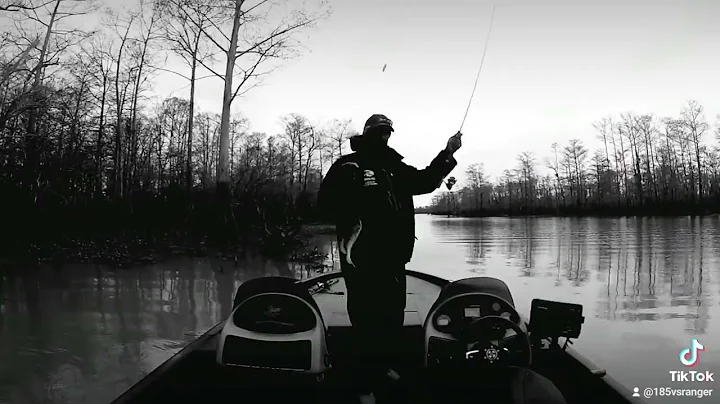 The Atchafalya Basin "Bayou Pigeon"