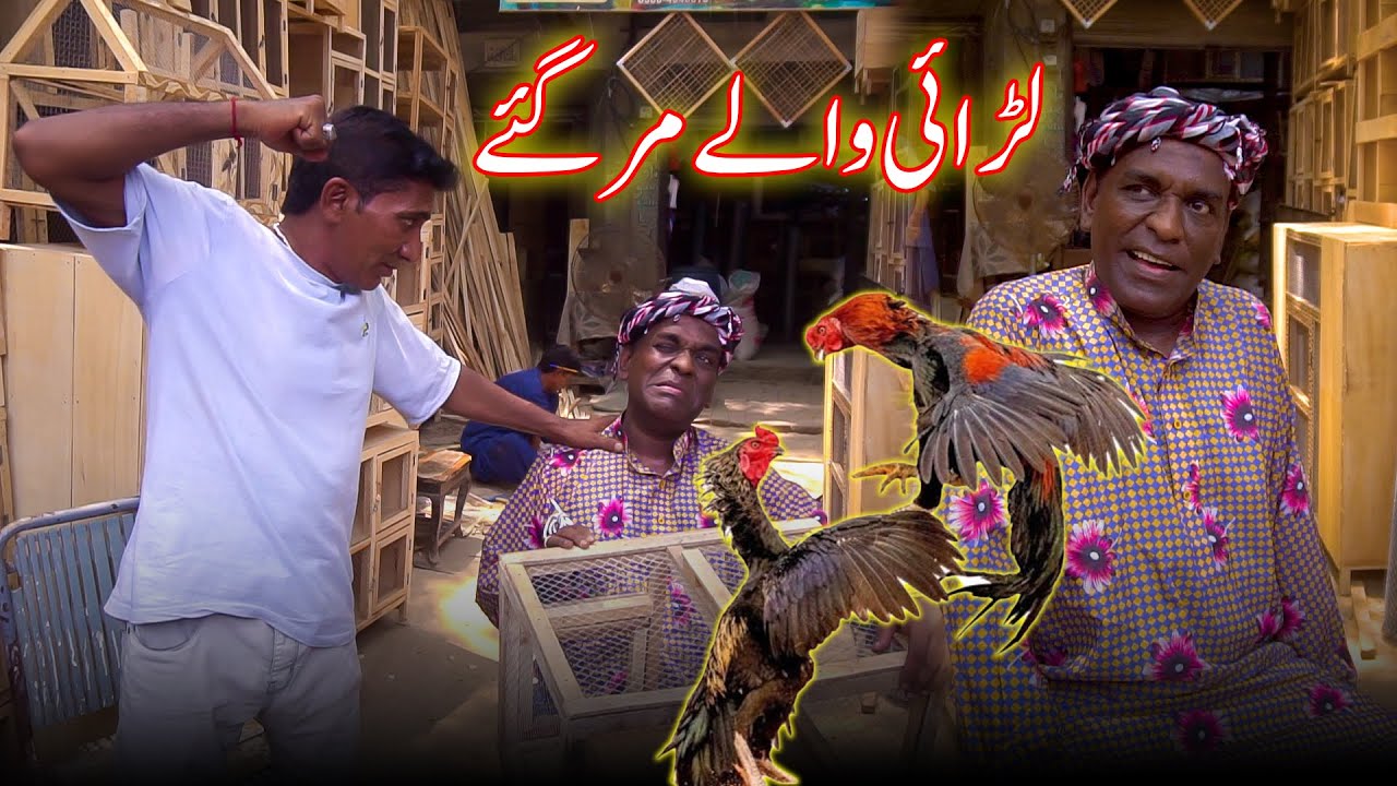 Aslam Chitty K Larai Waly Murgay🐓|| Aslam Chitta New Comedy Video ||