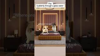Suddenly drop a glass of water moms reaction #cat memes #funny #rellatable #catmemes