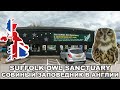 Ипсвич / Заповедник Хищных Птиц / Suffolk Owl Sanctuary / Графство Саффолк /  Жизнь в Англии #19