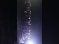 new barati dance