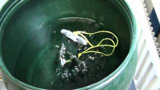 Schwimmtest Aquapack