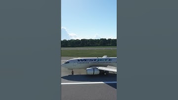 Listen To The PMDG 737 Use Reverse Thrust!