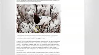 Climate Change - Snow Cover