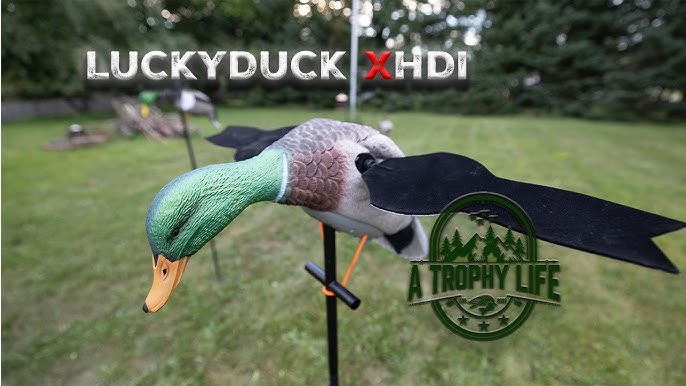 This *NEW* Lucky Duck Spinning Wing Decoy is FULLY WATERPROOF! #shorts  #hunting #waterfowl 