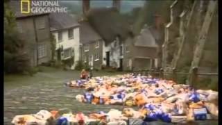 Impacto Ambiental Del Hombre