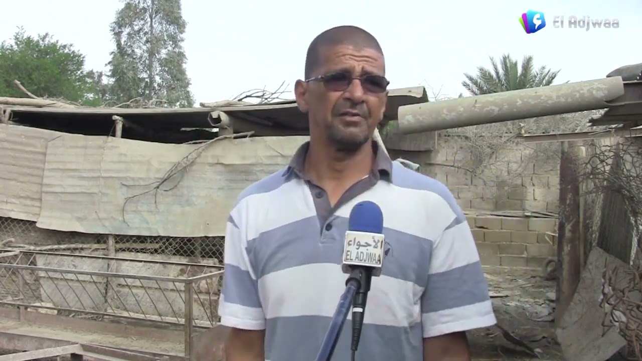 الشلف - موال من بلدية  وادي سلي يتعرض الى عملية سطو وسرقة مواشيه