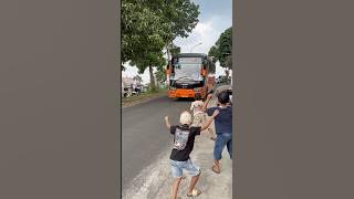 TELOLET BASURI BUS RATU BOCOR #teloletbasuri #busmania #basuri