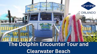 The Dolphin Encounter Tour in Clearwater Beach Tour by Gray Line Orlando