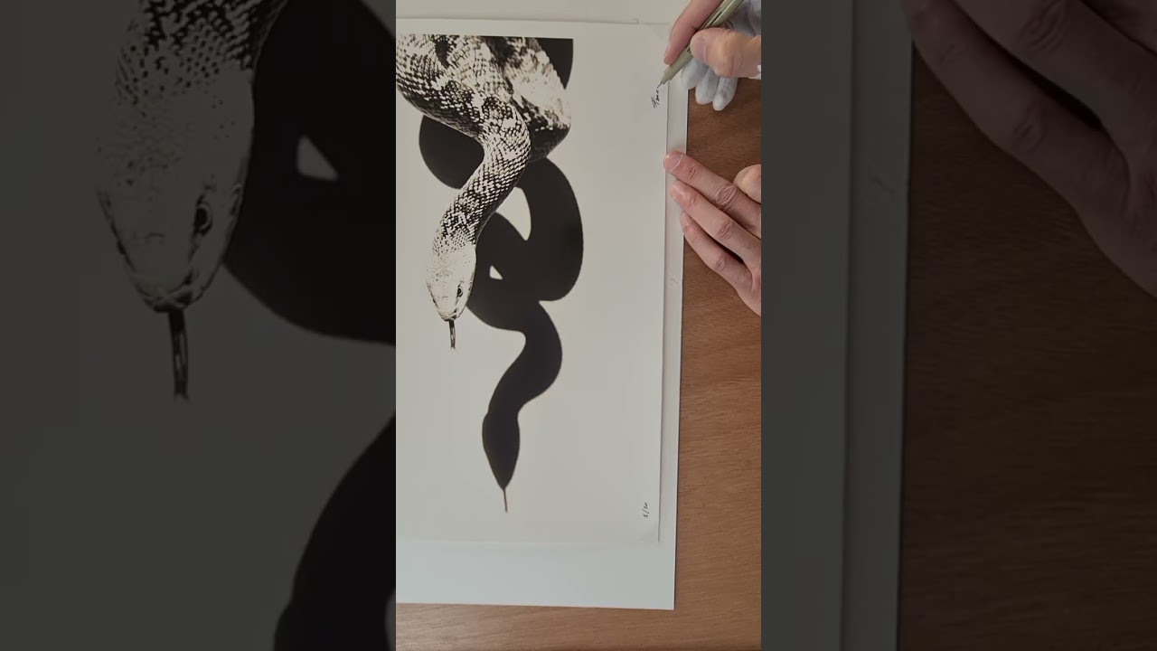 Bull Snake - Handmade Darkroom Prints