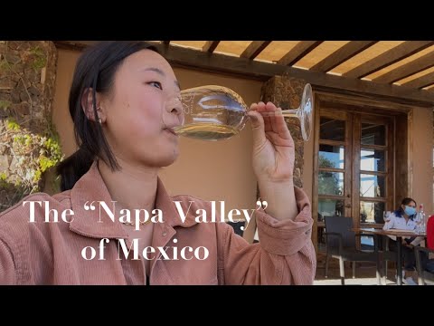 Video: Cách Đến Valle de Guadalupe Từ San Diego