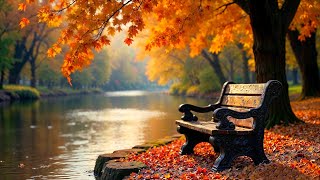 Cozy Autumn Park with Birdsong 🍁 Soft Piano & Falling Leaves for Stress Relief and Sleep