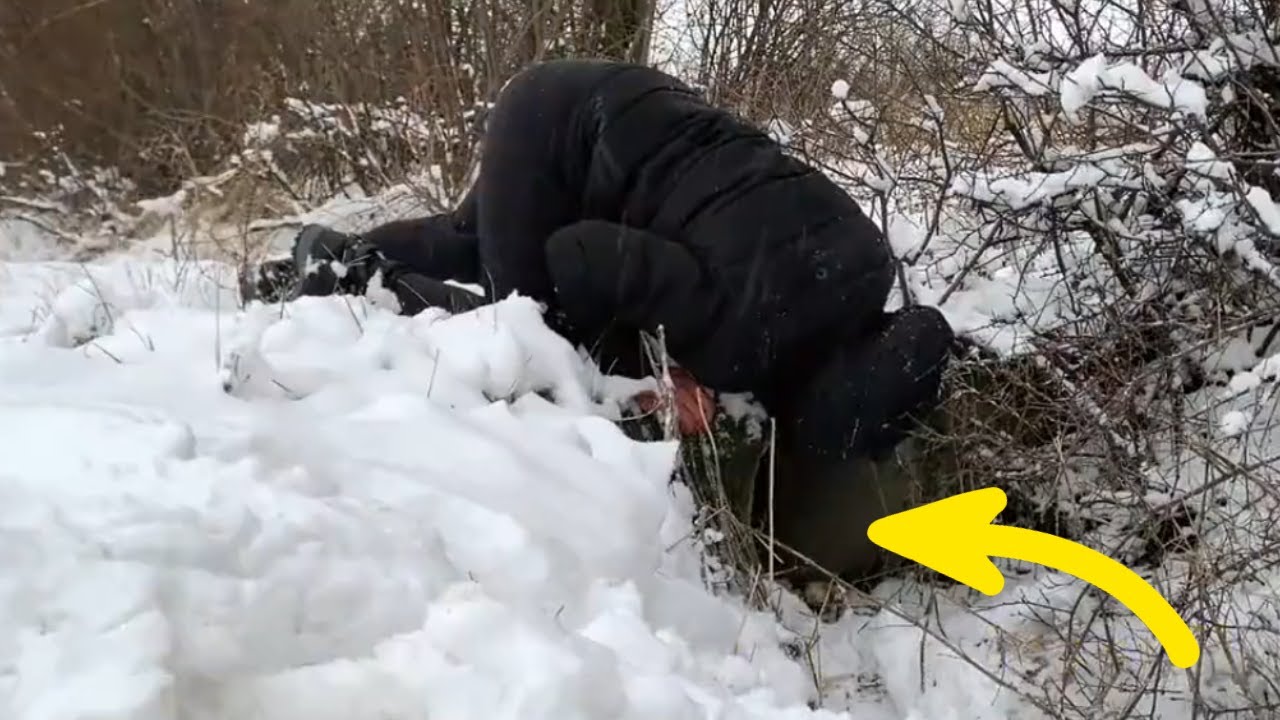 Freezing Mother Dog Begs Stranger to Save Her Puppies from Ice Cold ...