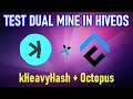 KASPA AND CONFLUX DUAL MINING | TEST IN HIVEOS WITH NICEHASH WALLET