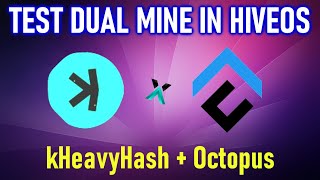 KASPA AND CONFLUX DUAL MINING | TEST IN HIVEOS WITH NICEHASH WALLET