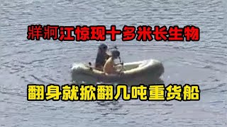 A creature over ten meters long was discovered in the Zangke River, and from a distance, it appea...