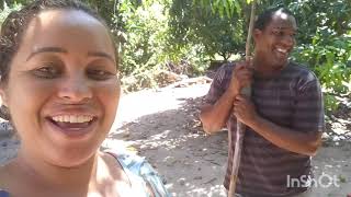 A COR da ÁGUA no PROJETO JAÍBA / LIMPEZA no QUINTAL!!! by Beco das Frutas 112 views 4 months ago 16 minutes