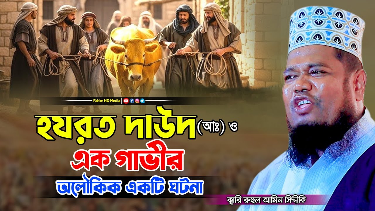 হযরত দাউদ আঃ এর গাভীর অলৌকিক ঘটনা | ruhul amin siddiqui new waz | মাওলানা রুহুল আমিন সিদ্দিকী