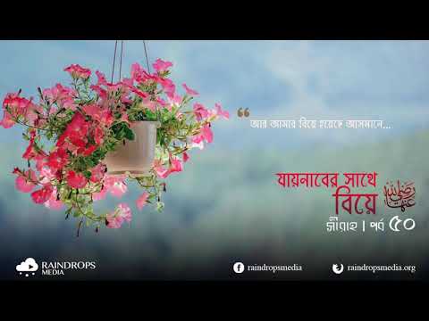 পর্ব ৫০ | সীরাহ | যাইনাব রাদিয়াল্লাহু আনহার সাথে নবীজির (সা) বিয়ে | Rain Drops Media