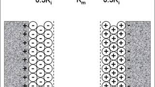 Impedance microbiology | Wikipedia audio article