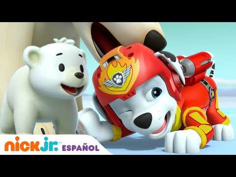 Paw Patrol, Patrulla de cachorros | La Patrulla canina salva a los osos polares! | Nick Jr.