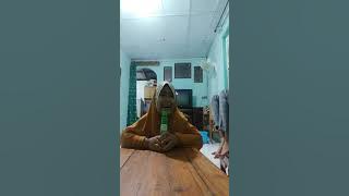 Sholawat  adek berjilbab  kuning