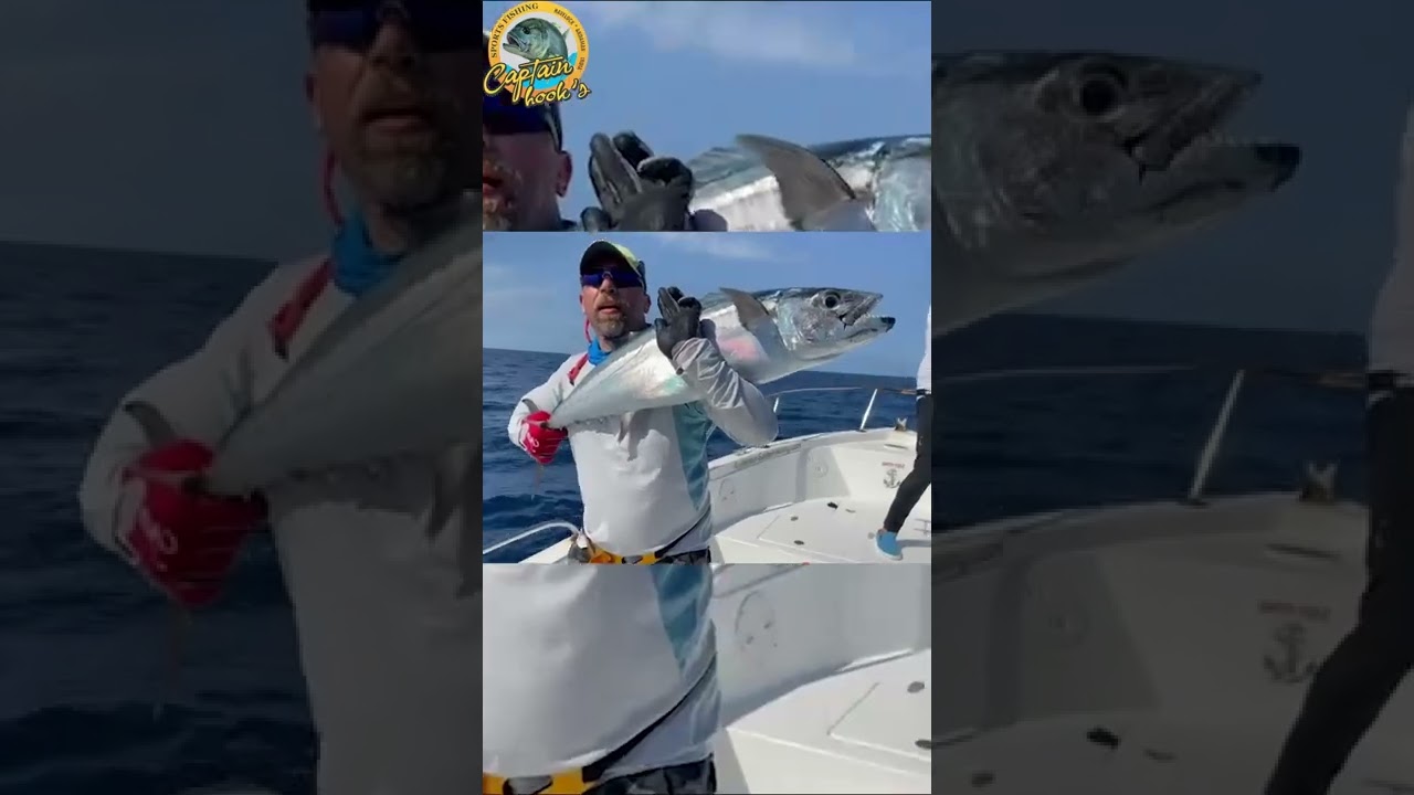 Dogtooth tuna barren island | ANDAMAN GAME FISHING | #shorts