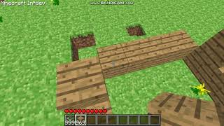 minecraft infdev 1